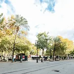 Alohamundi Zaragoza IV